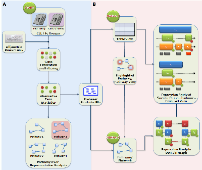 AltAnalyze and DomainGraph workflow